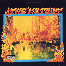 fire on the bayou.jpg
